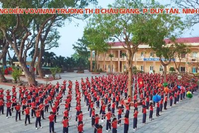 Bài đồng diễn võ Vovinam